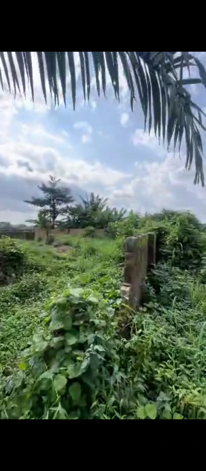Land for Sale in Amagba, Edo - Image 6