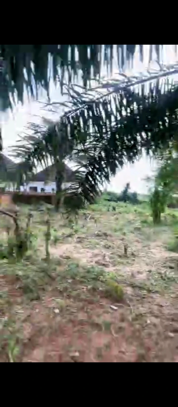 Land for Sale in Amagba, Edo - Image 3