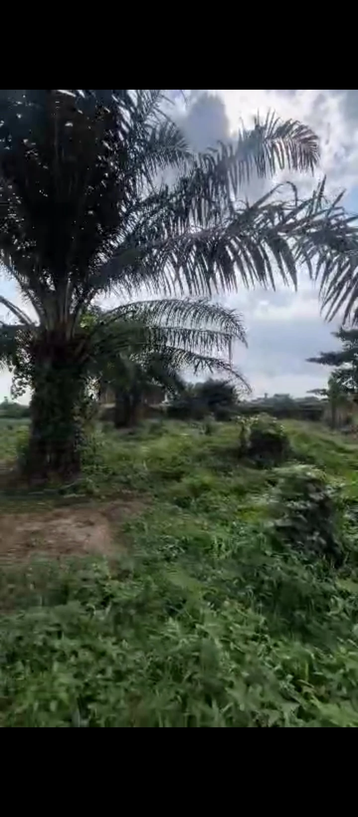 Land for Sale in Amagba, Edo - Image 5