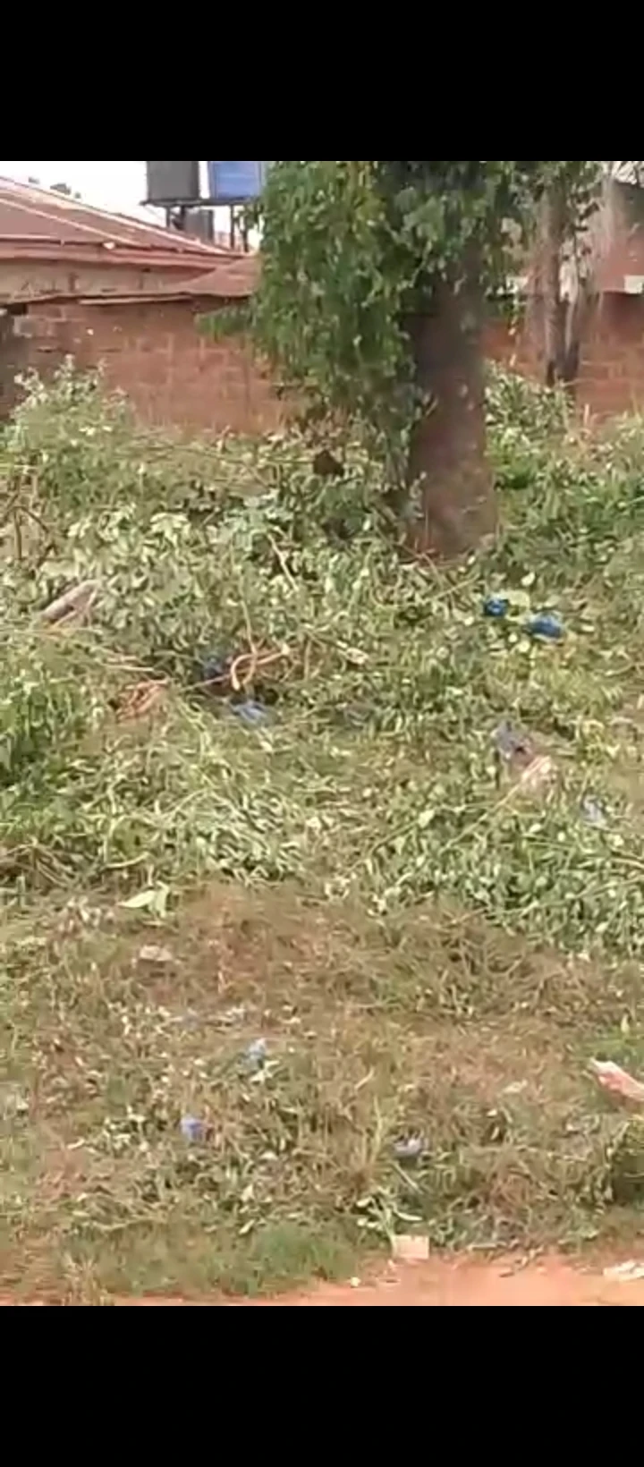 Land for Sale in Sapele road back of Santana market, Edo - Image 4