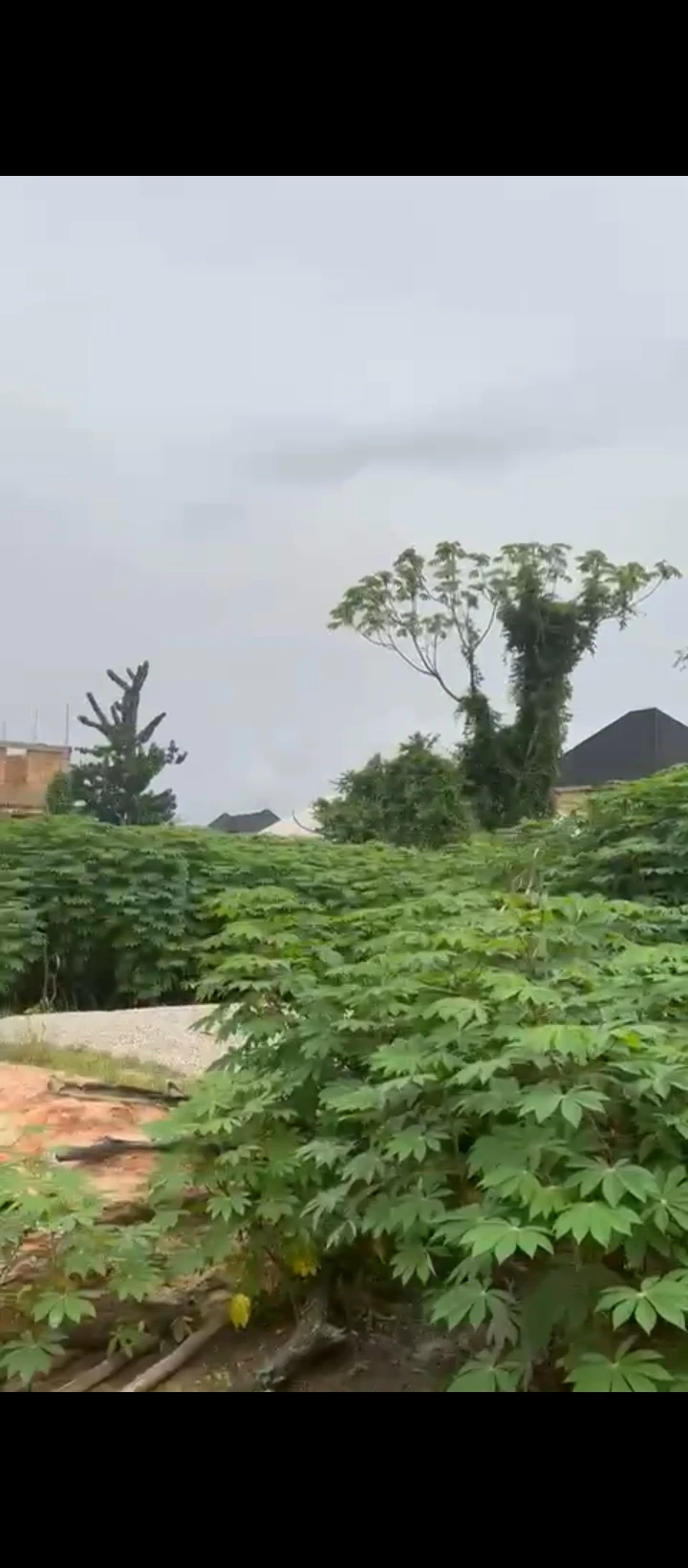 Land for Sale in Off airport road, Edo - Image 2