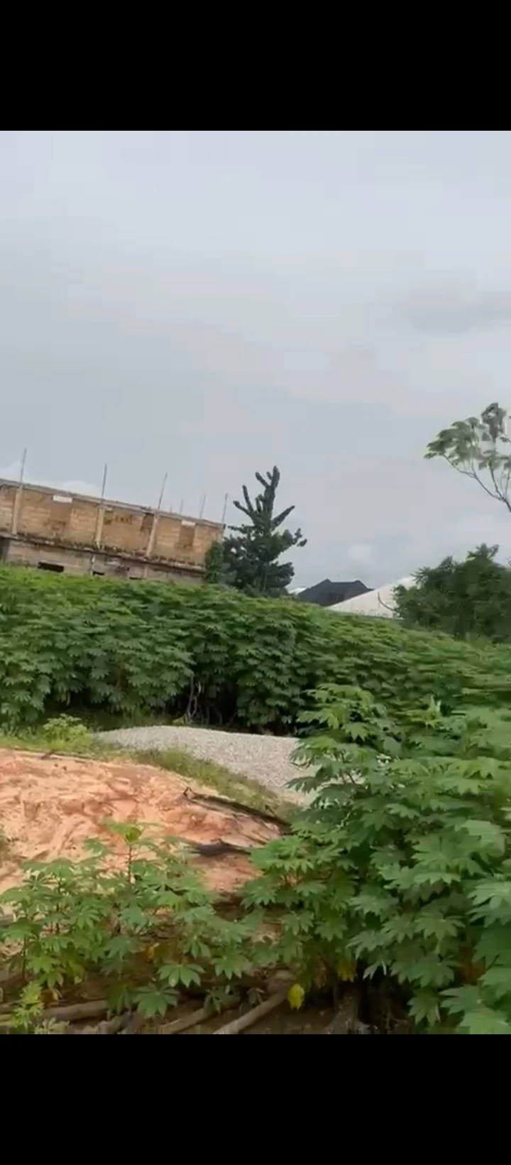 Land for Sale in Off airport road, Edo - Image 1