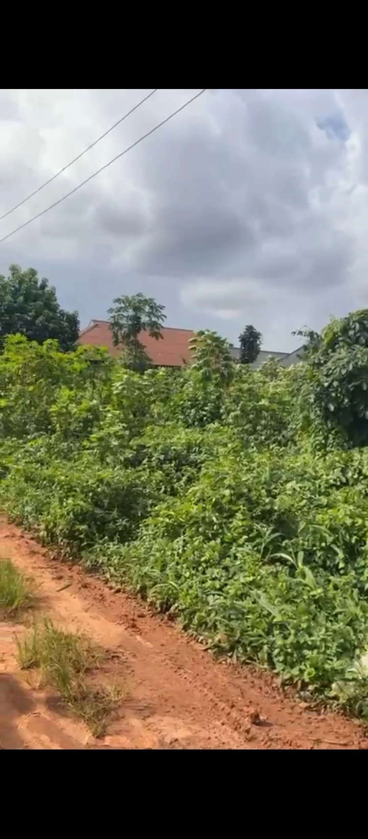 Land for Sale in Iguhomon agbor road bypass, Edo - Image 3