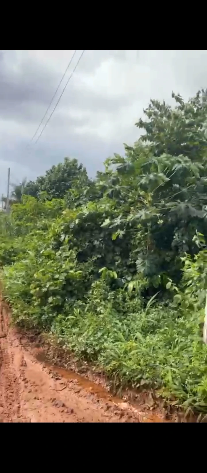 Land for Sale in Iguhomon agbor road bypass, Edo - Image 1