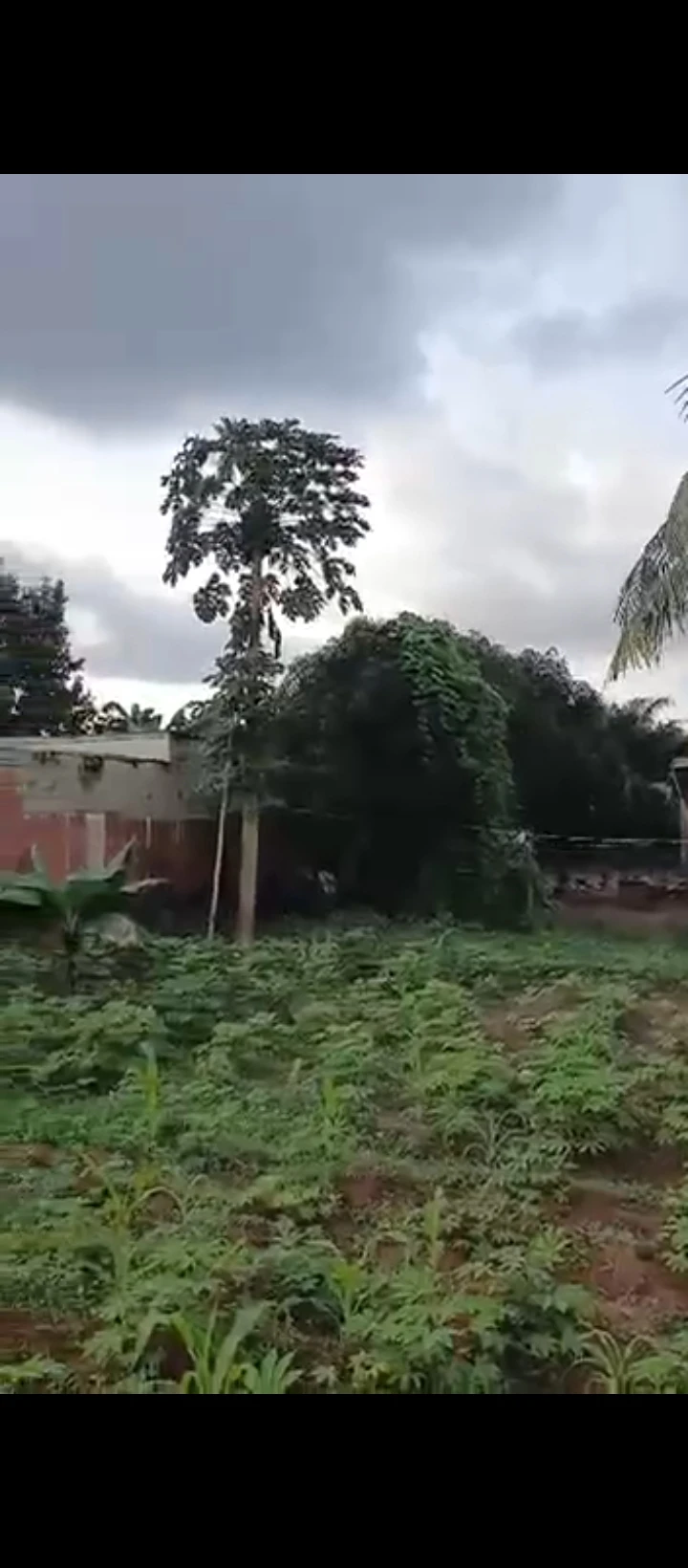 Bungalow for Sale in 2nd ugbor gra, Edo - Image 4