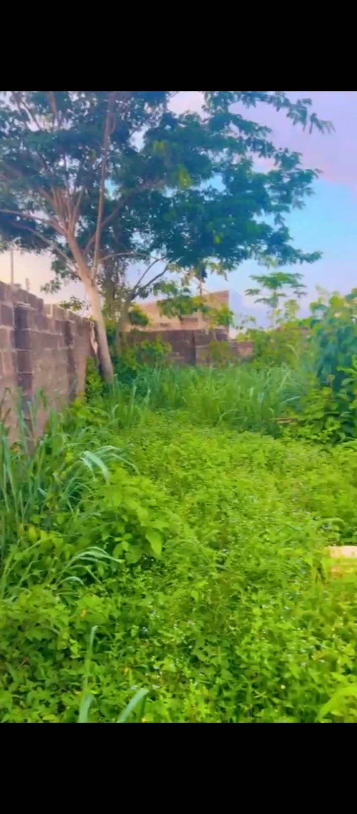 Land for Sale in Country home, Edo - Image 4