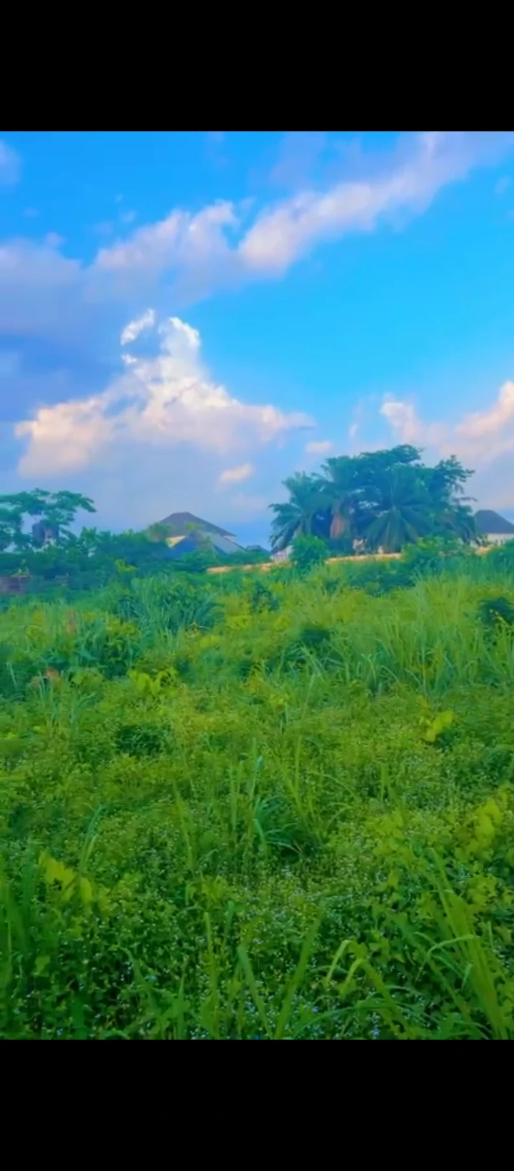 Land for Sale in Country home, Edo - Image 5