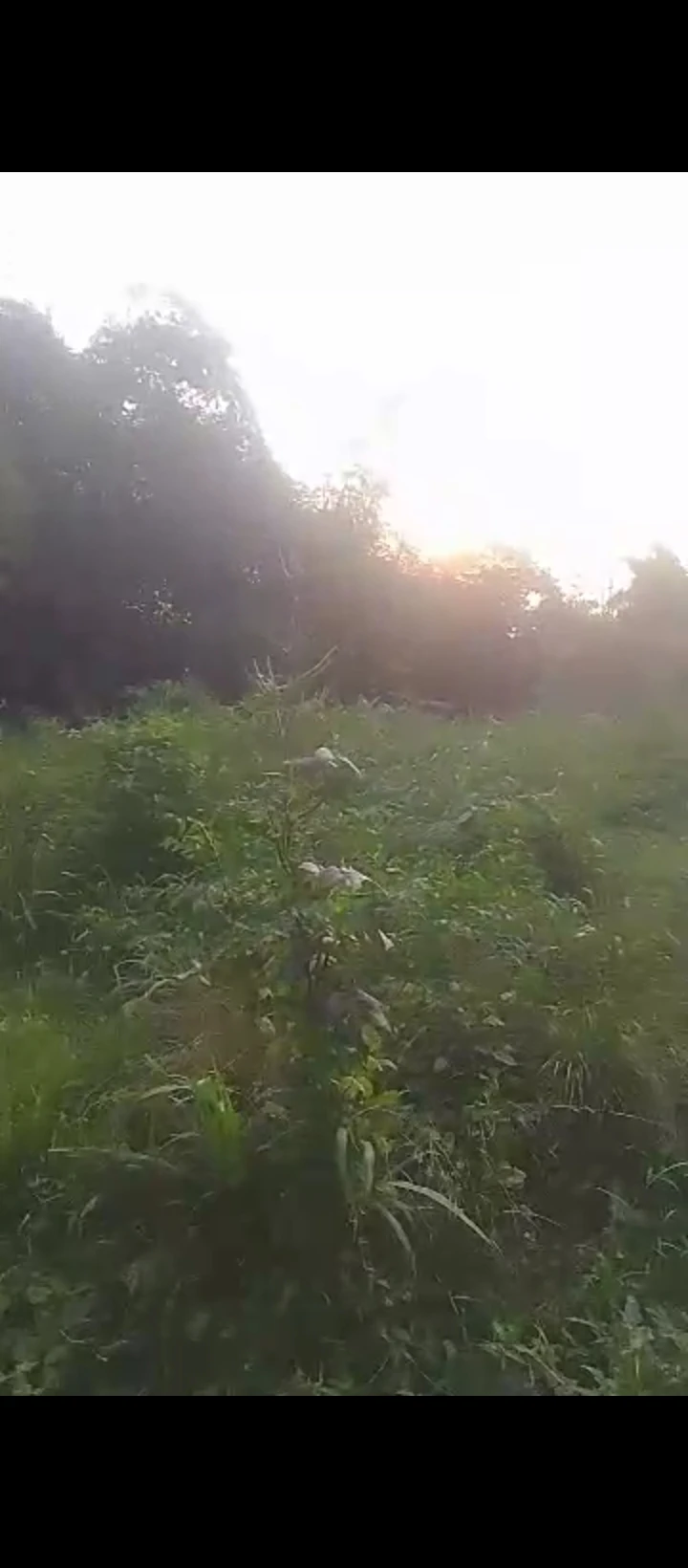 Land for Sale in Off airport road ogba, Edo - Image 1