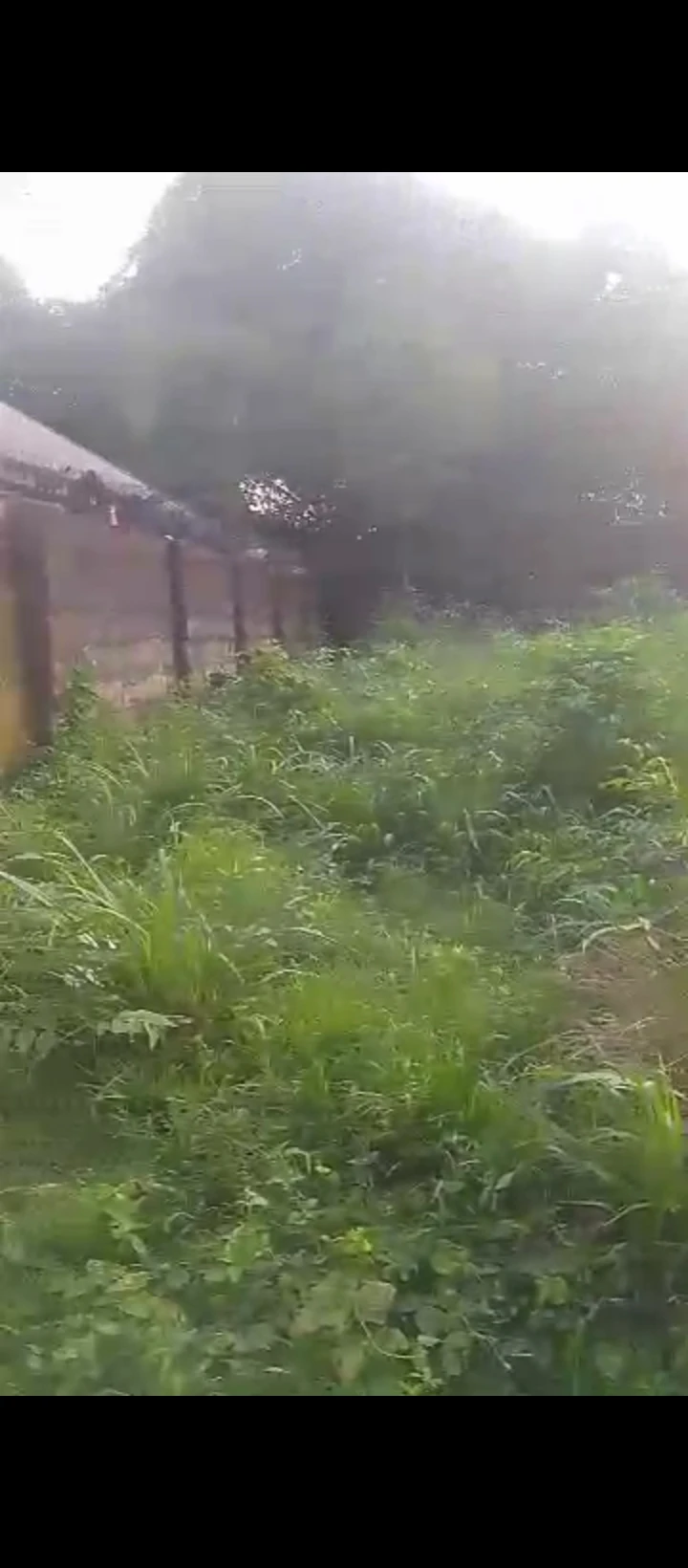 Land for Sale in Off airport road ogba, Edo - Image 2