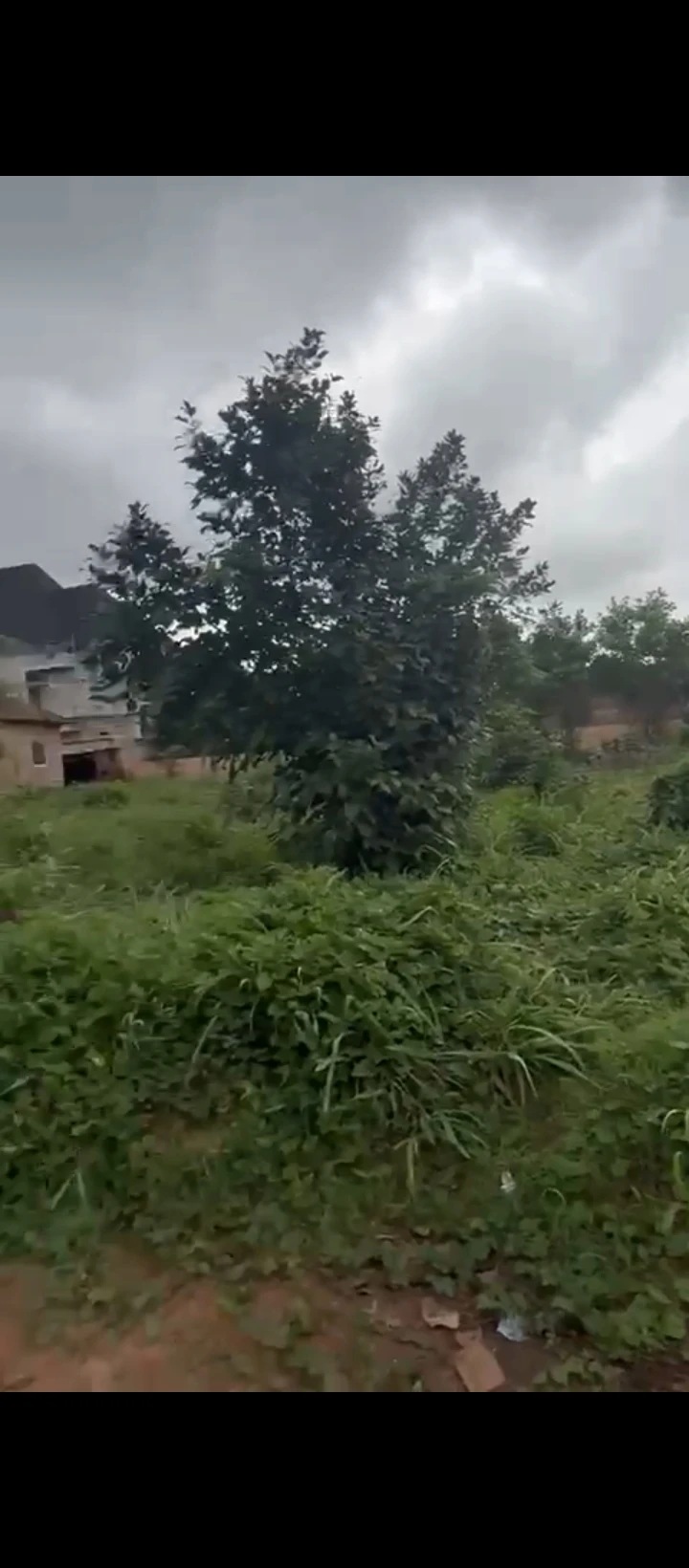 Land for Sale in Isihor, Edo - Image 1