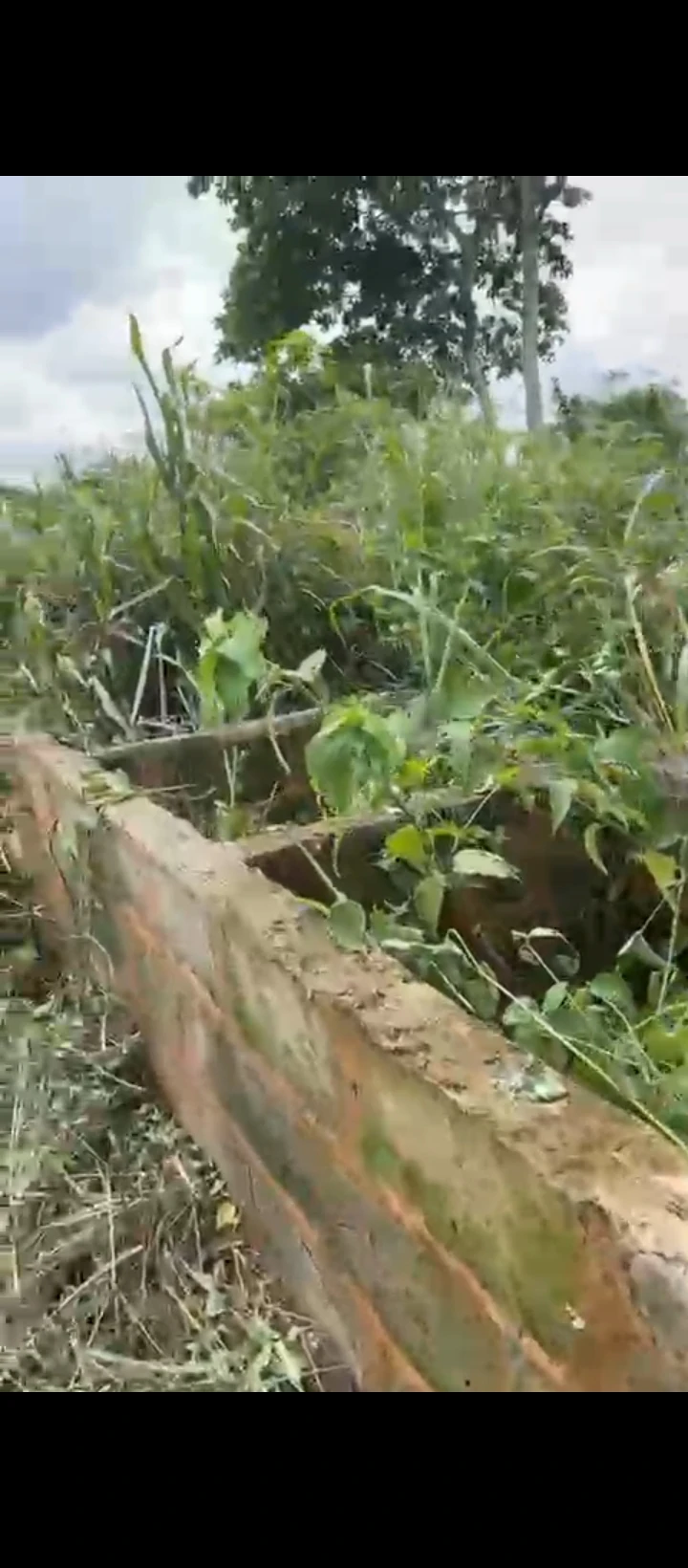 Uncompleted Building for Sale in Idogbo bypass, Edo - Image 6