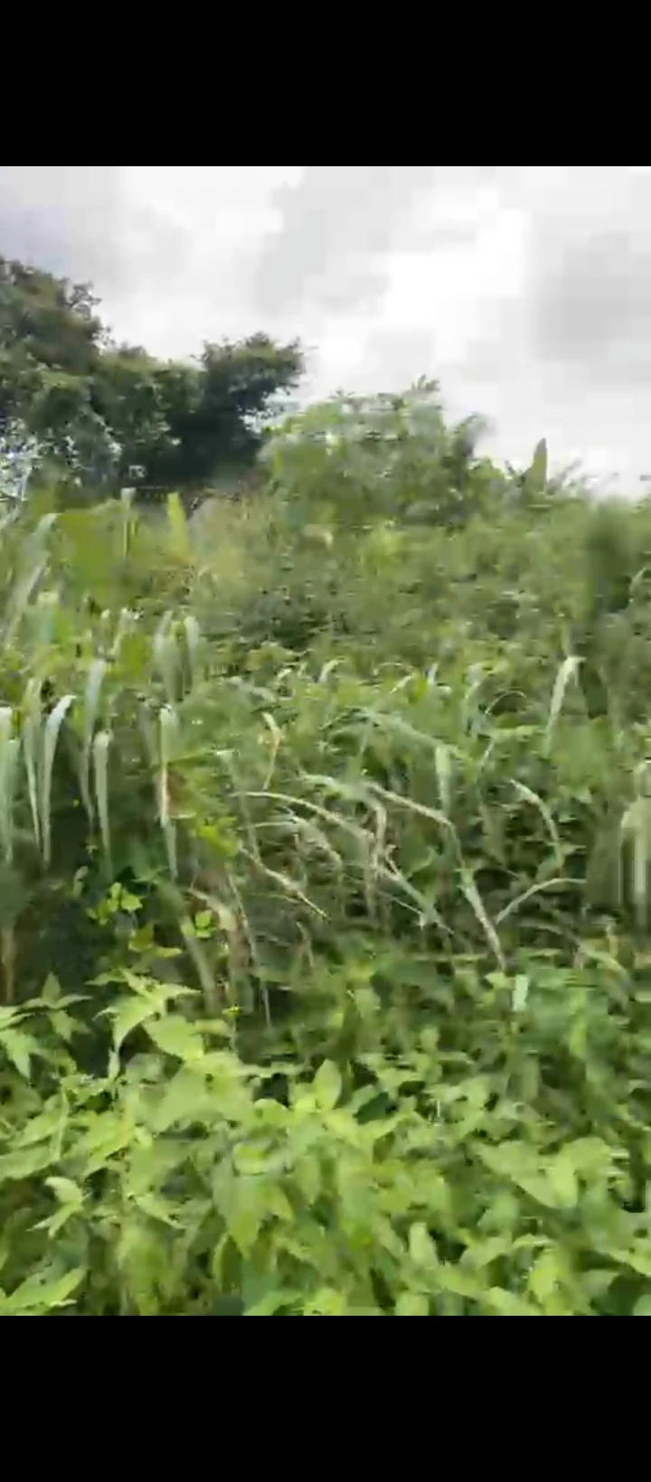 Uncompleted Building for Sale in Idogbo bypass, Edo - Image 1