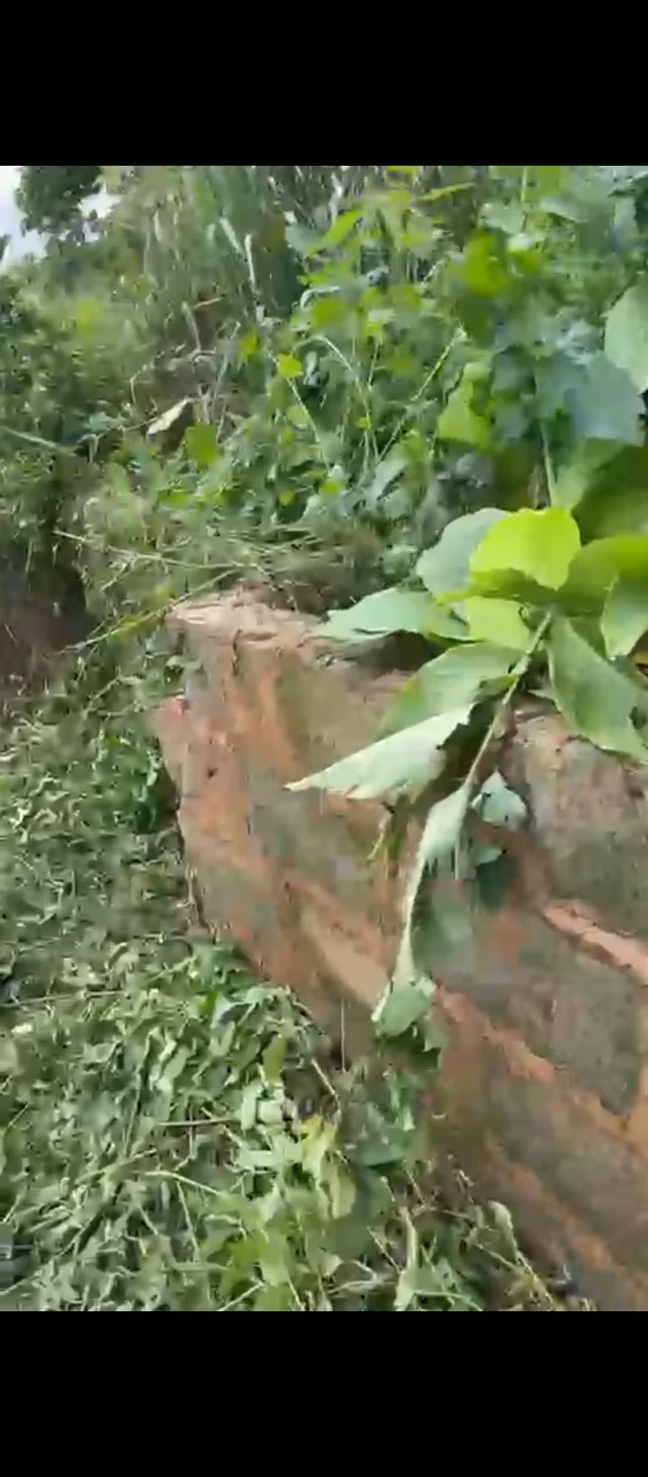 Uncompleted Building for Sale in Idogbo bypass, Edo - Image 4