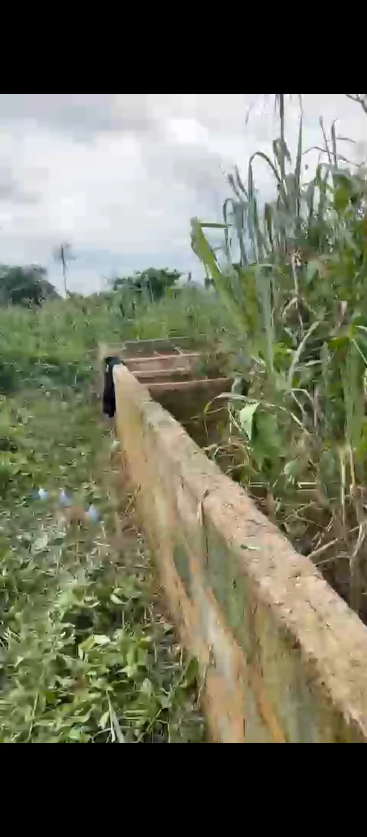 Uncompleted Building for Sale in Idogbo bypass, Edo - Image 3