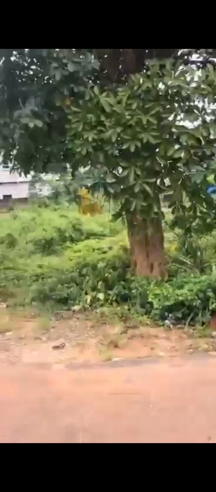 Land for Sale in Guobadia country home, Edo - Image 5