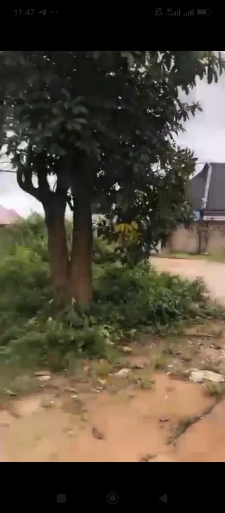 Land for Sale in Guobadia country home, Edo - Image 2