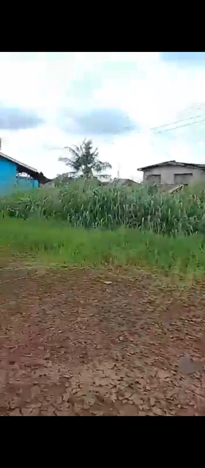 Land for Sale in TV road, Edo - Image 5