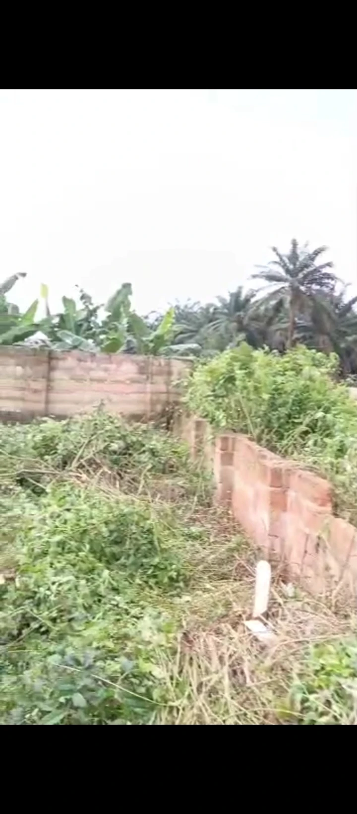 Uncompleted Building for Sale in Back of banga, Edo - Image 5