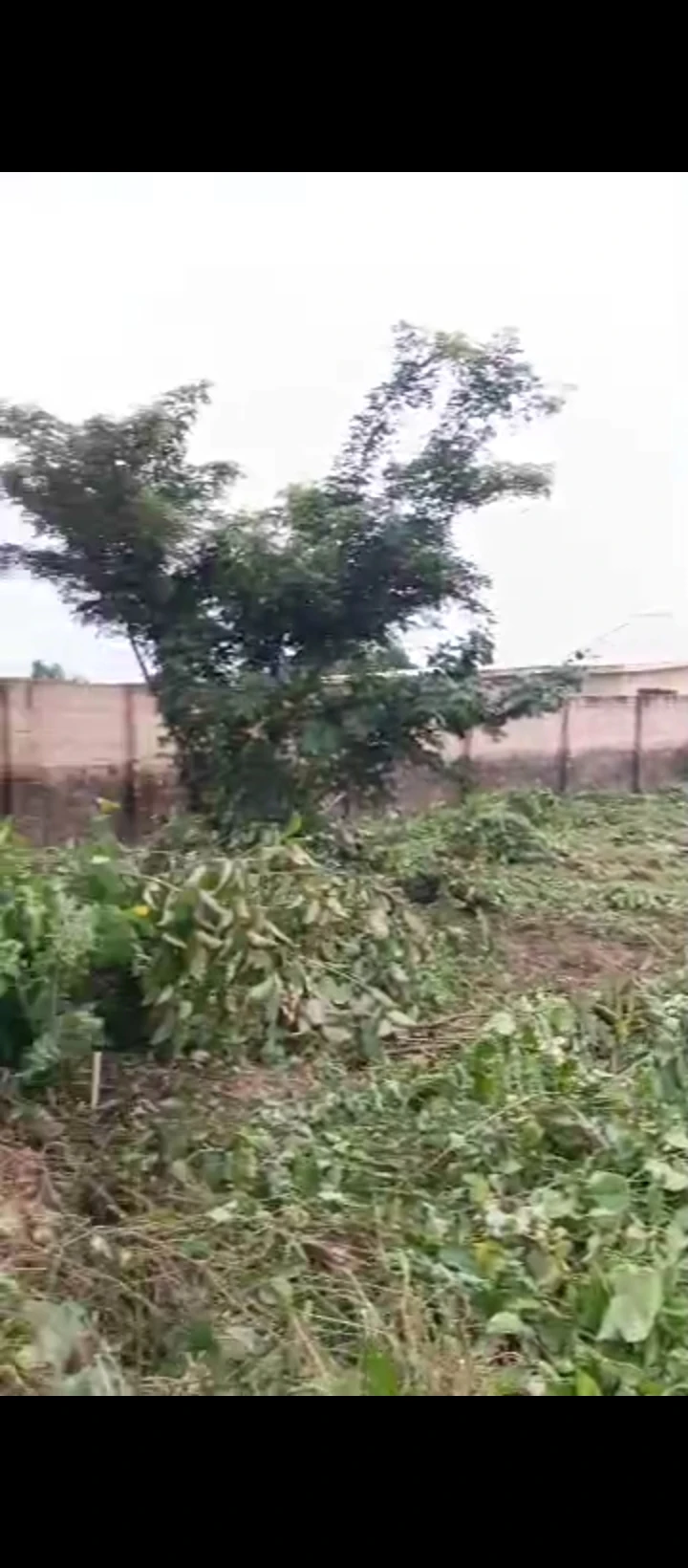 Uncompleted Building for Sale in Back of banga, Edo - Image 6