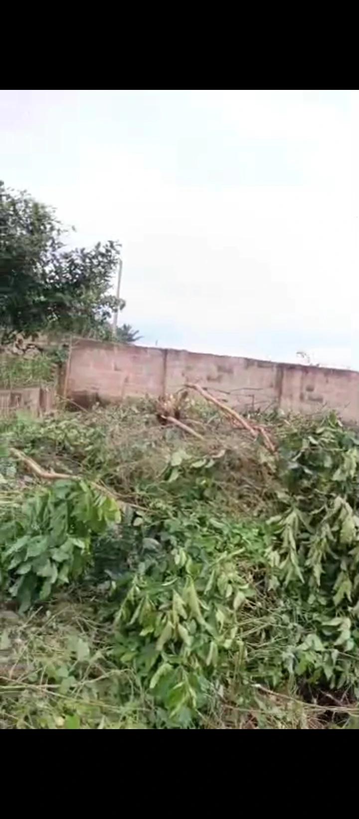 Uncompleted Building for Sale in Back of banga, Edo - Image 3