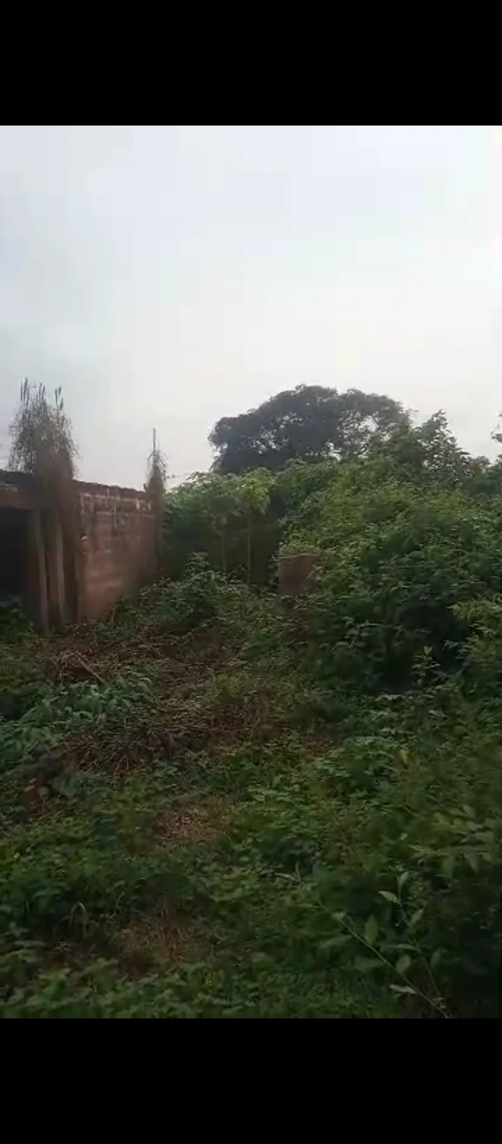 Uncompleted Building for Sale in Airport road, Edo - Image 6
