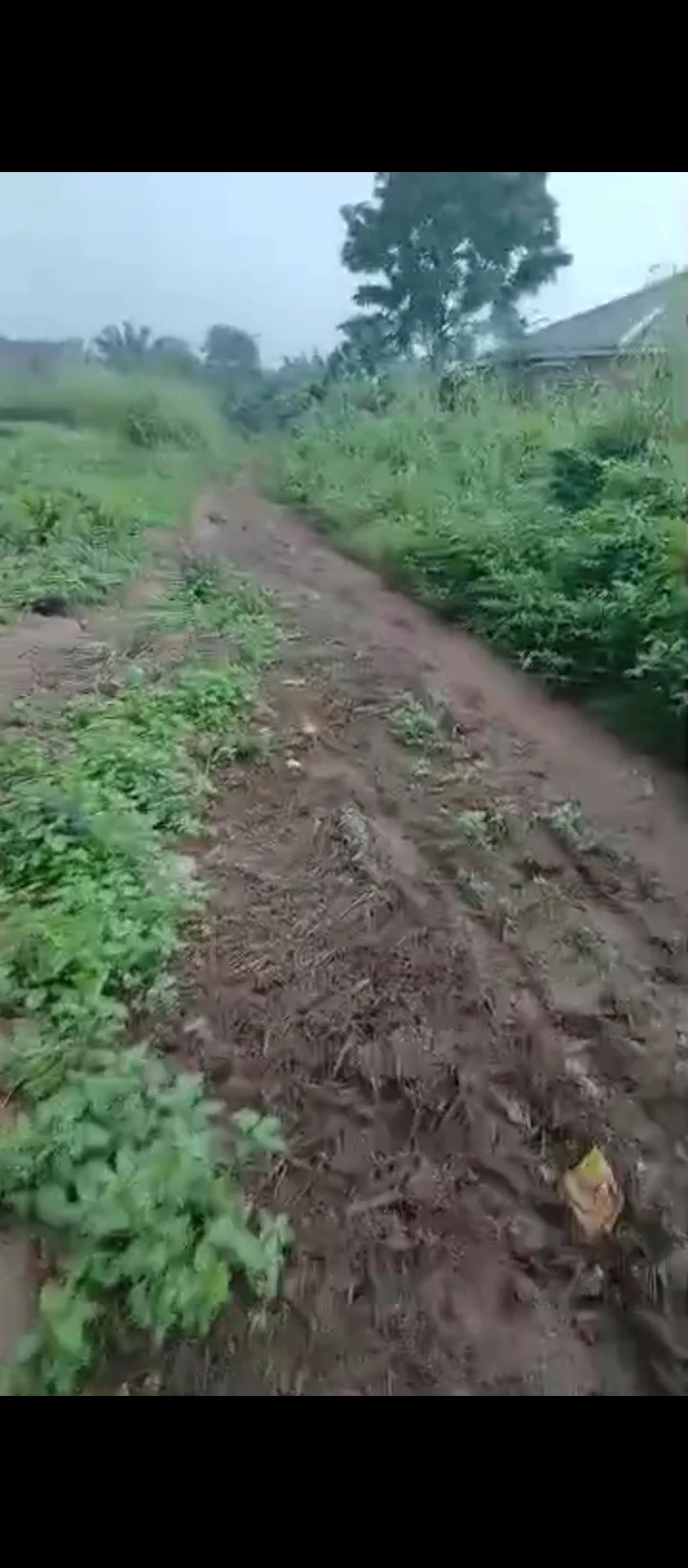 Land for Sale in Ogueka Benin auchi road, Edo - Image 2