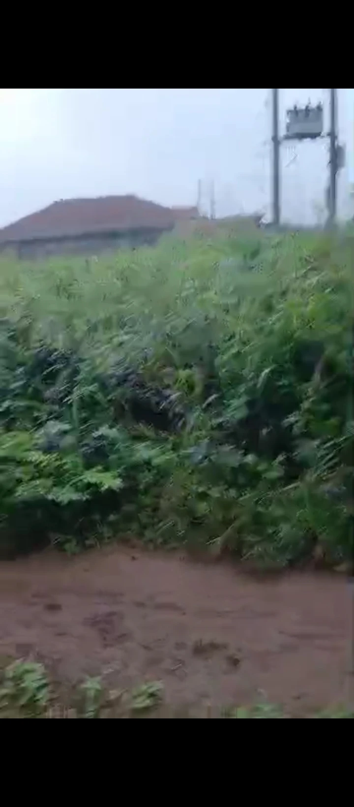 Land for Sale in Ogueka Benin auchi road, Edo - Image 3