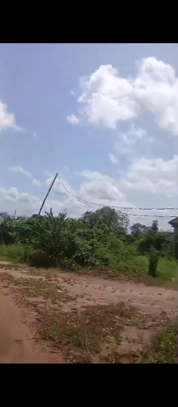Land for Sale in Ohlolo community, Edo - Image 2