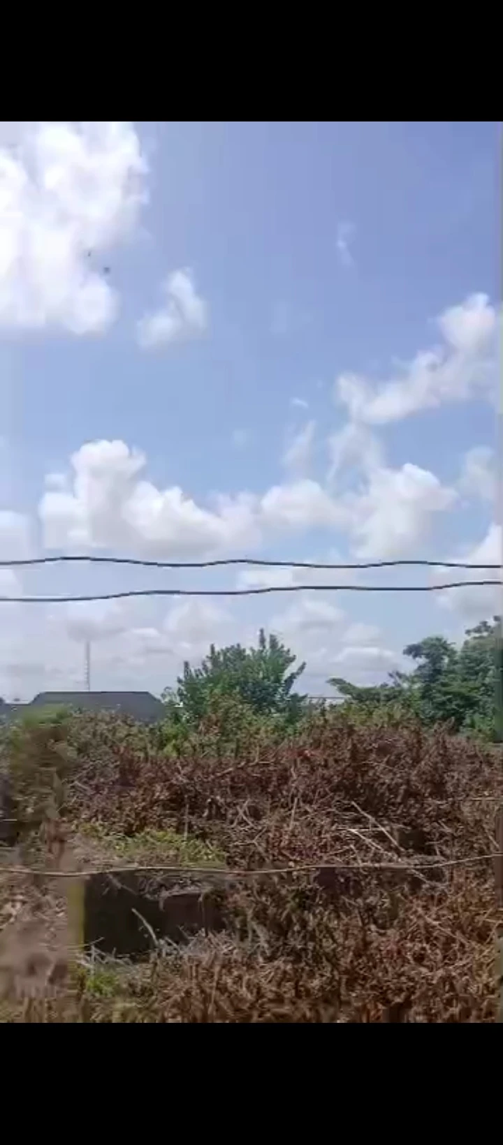 Land for Sale in Ohlolo community, Edo - Image 3