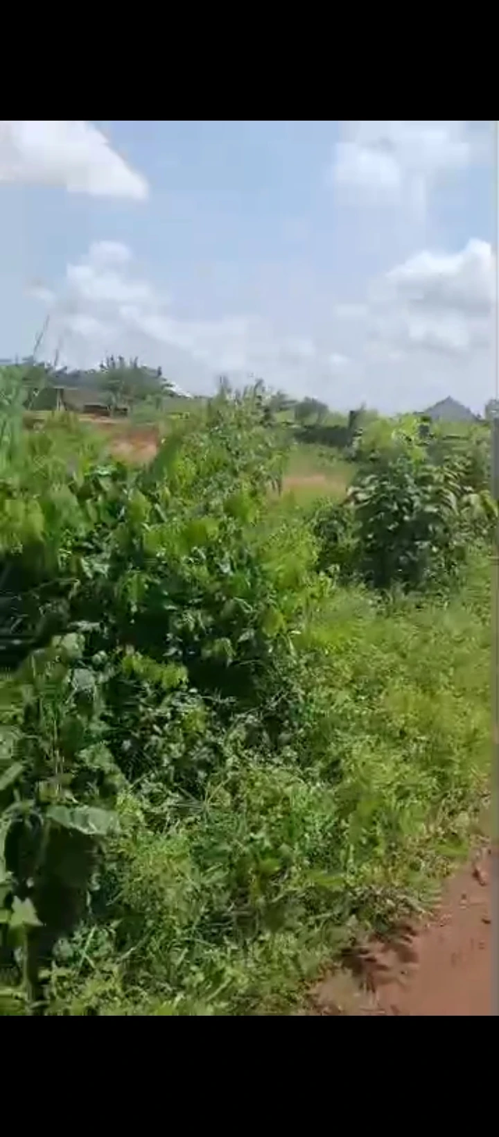 Land for Sale in Ohlolo community, Edo - Image 1