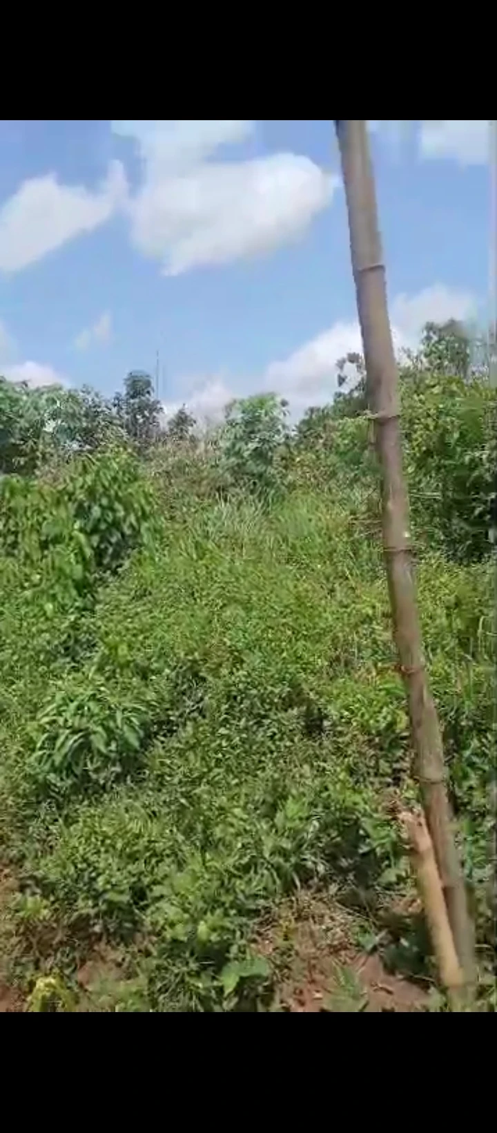 Land for Sale in Ohlolo community, Edo - Image 4