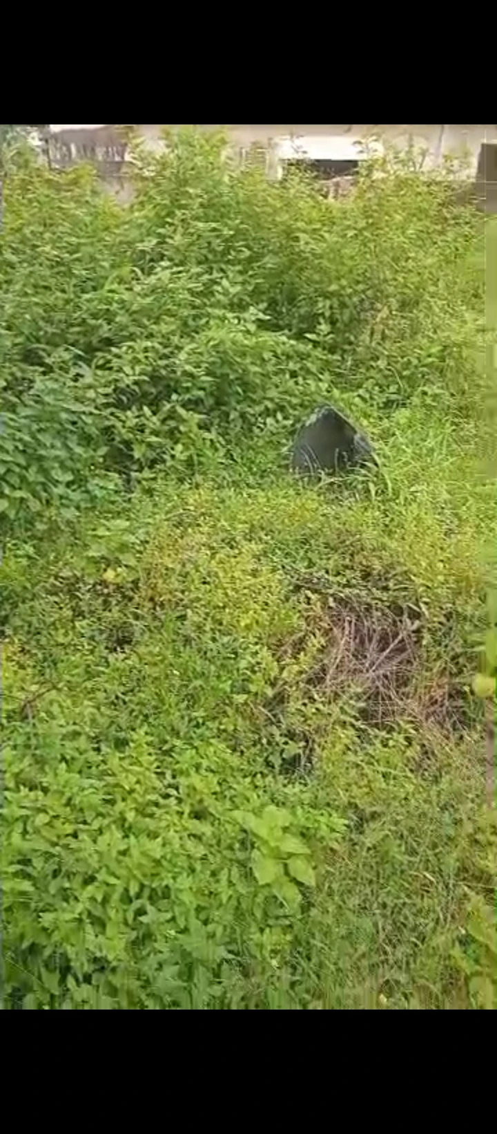 Land for Sale in Gra, Edo - Image 3