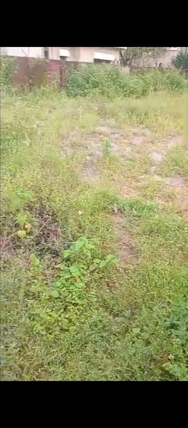 Land for Sale in Gra, Edo - Image 1