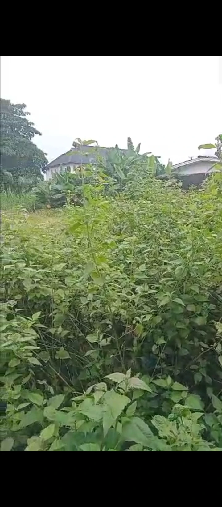 Land for Sale in Gra, Edo - Image 5