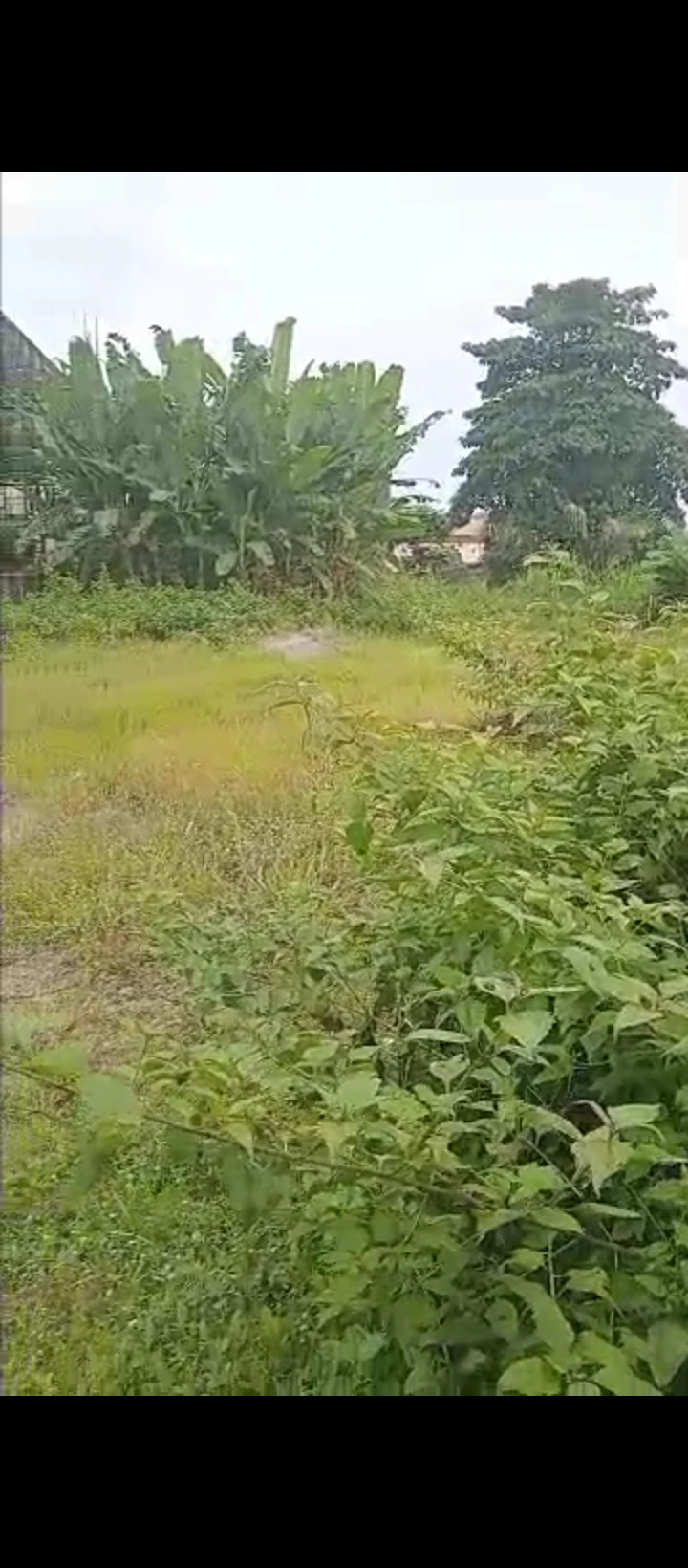 Land for Sale in Gra, Edo - Image 4