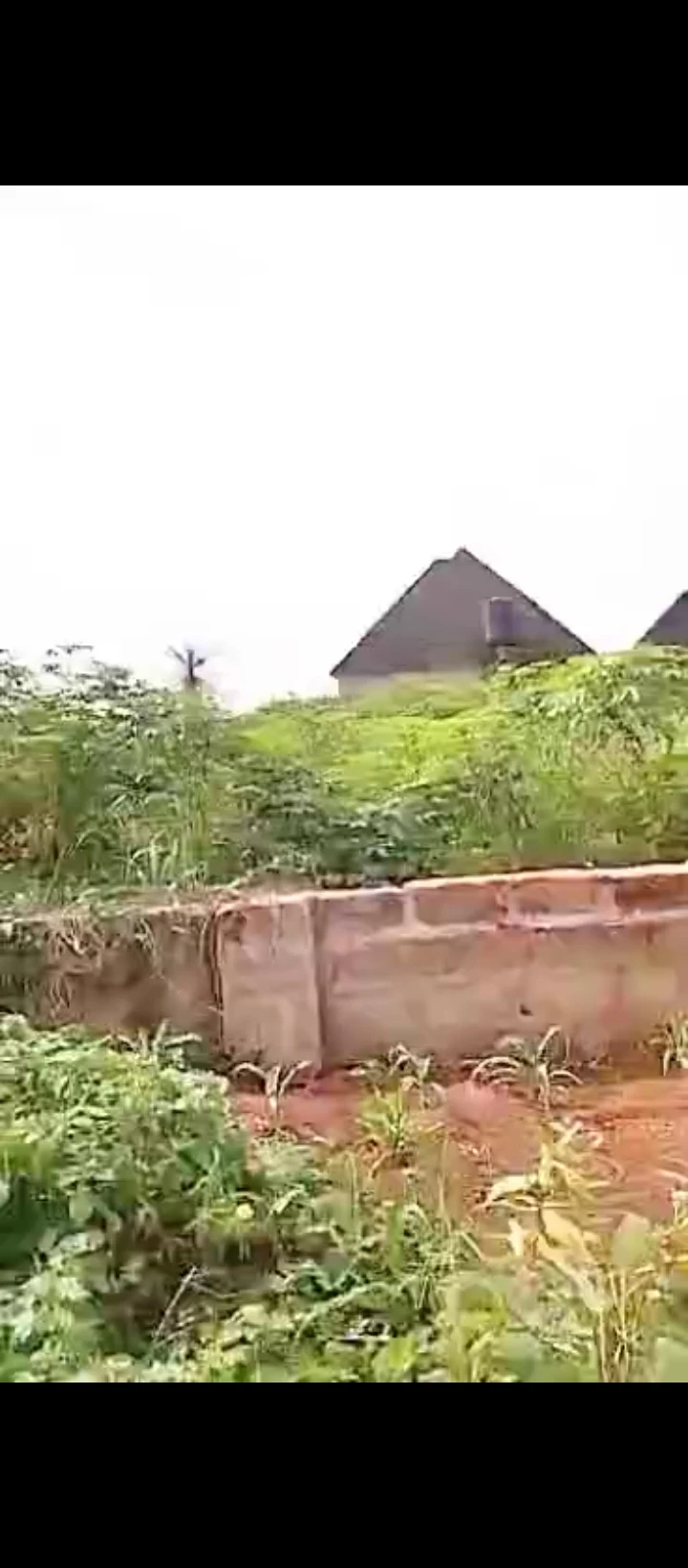 Land for Sale in Ogheghe sapele road, Edo - Image 6