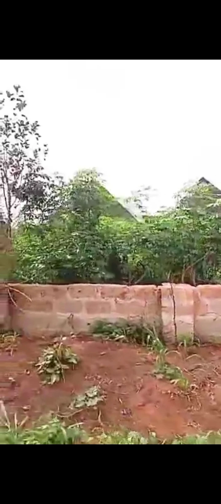 Land for Sale in Ogheghe sapele road, Edo - Image 5