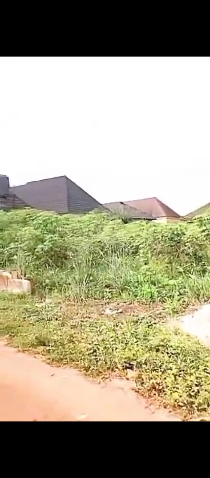 Land for Sale in Ogheghe sapele road, Edo - Image 1