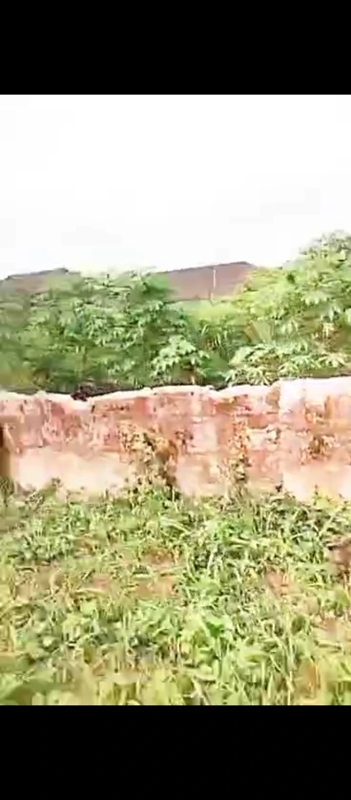 Land for Sale in Ogheghe sapele road, Edo - Image 3