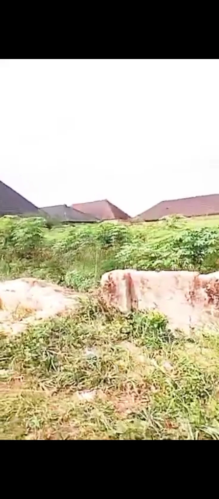 Land for Sale in Ogheghe sapele road, Edo - Image 2