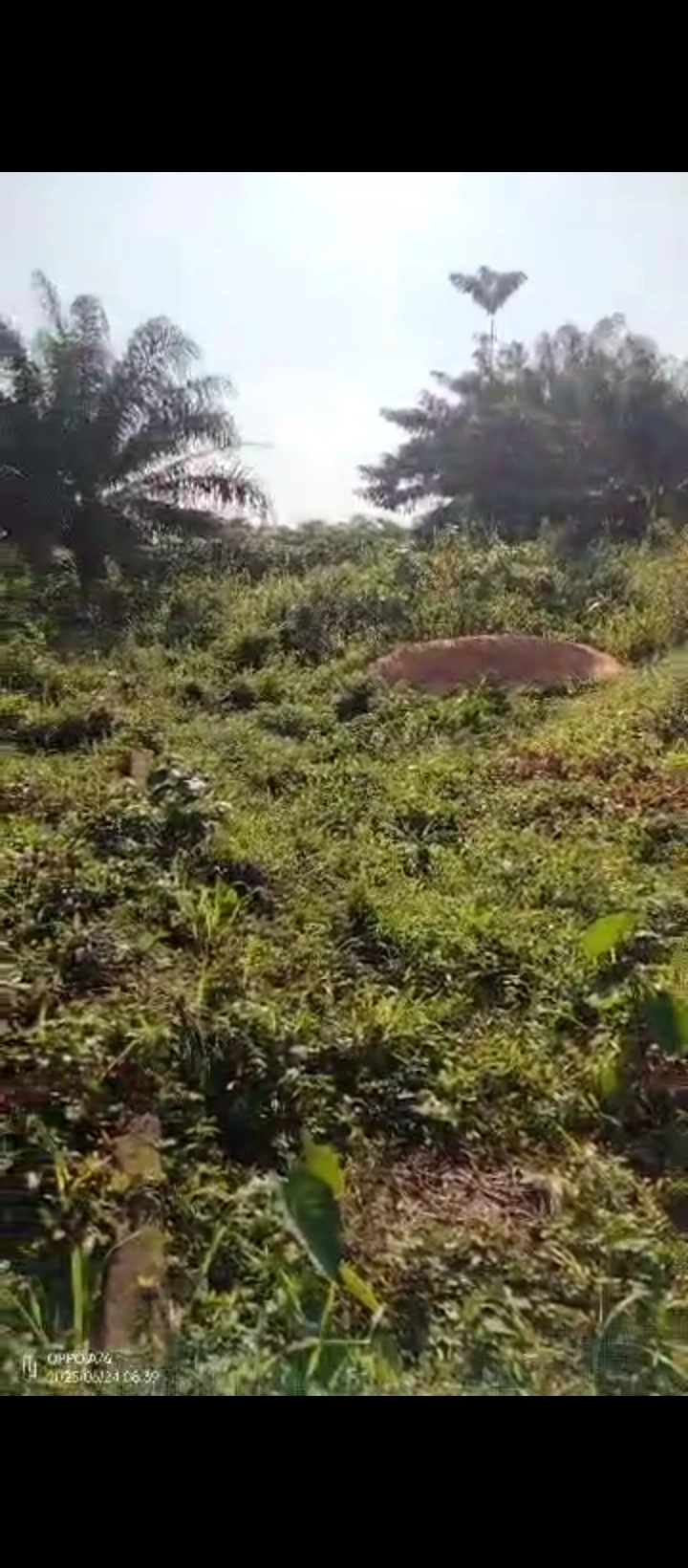 Land for Sale in Obagie sapele road, Edo - Image 4
