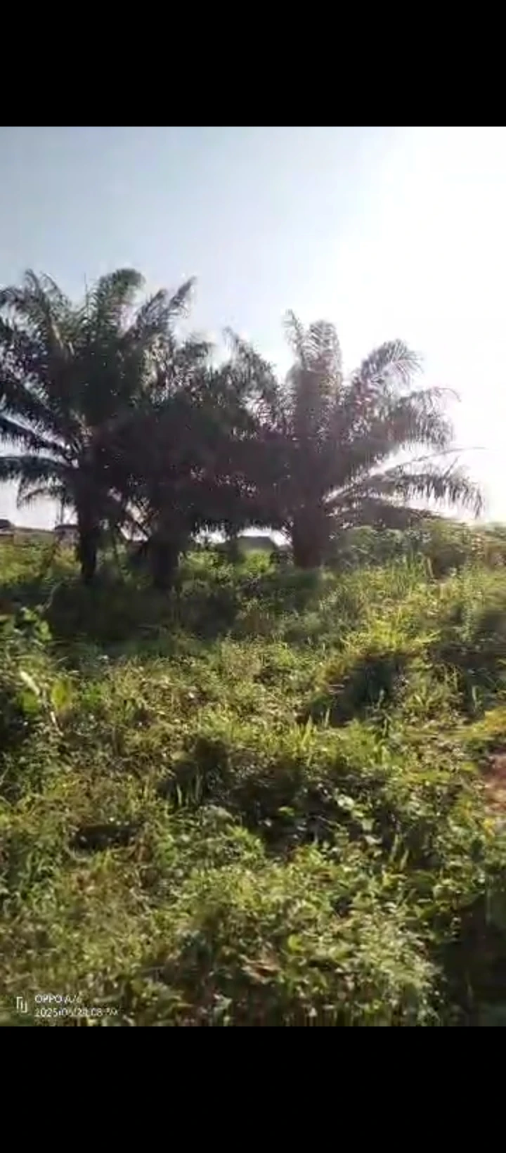 Land for Sale in Obagie sapele road, Edo - Image 5