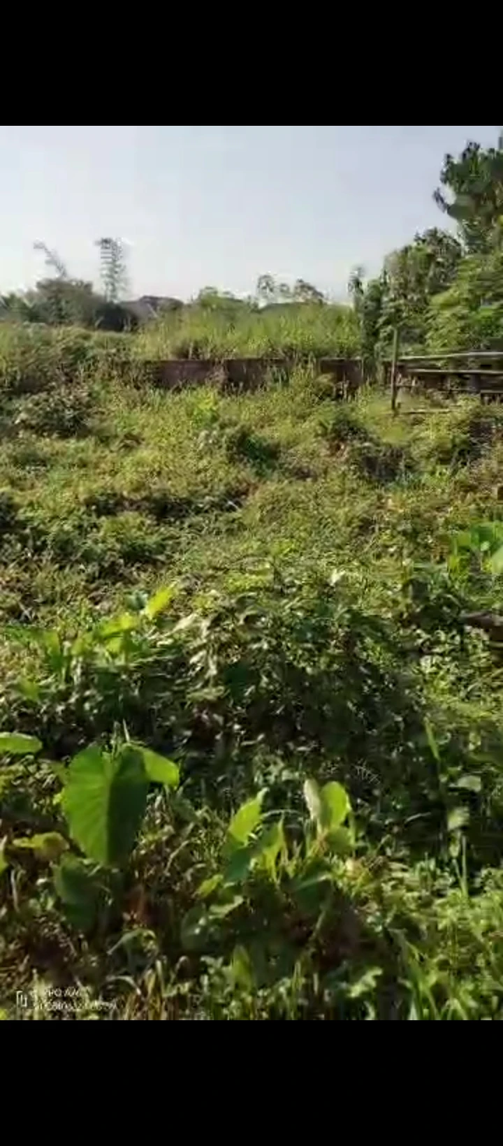 Land for Sale in Obagie sapele road, Edo - Image 2