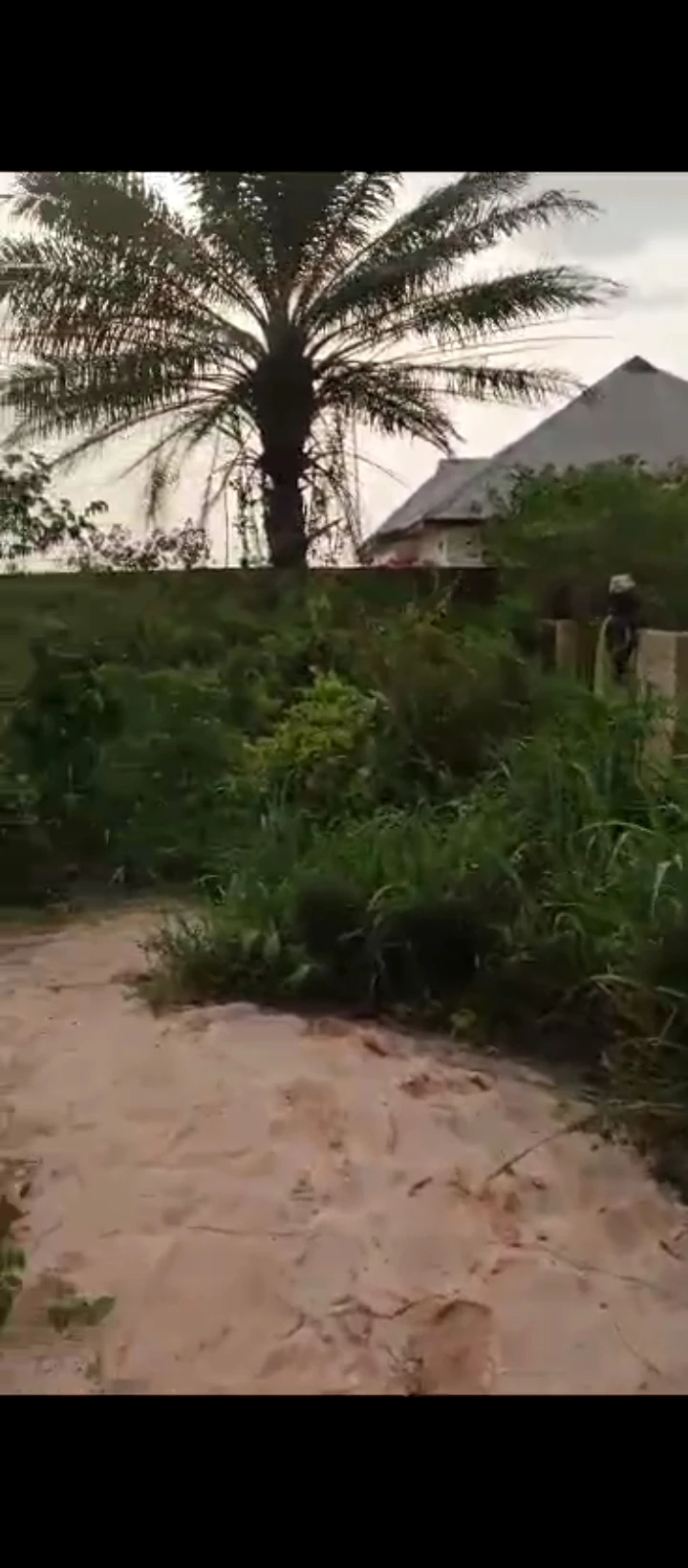 Land for Sale in Abuja street Amagba, Edo - Image 5