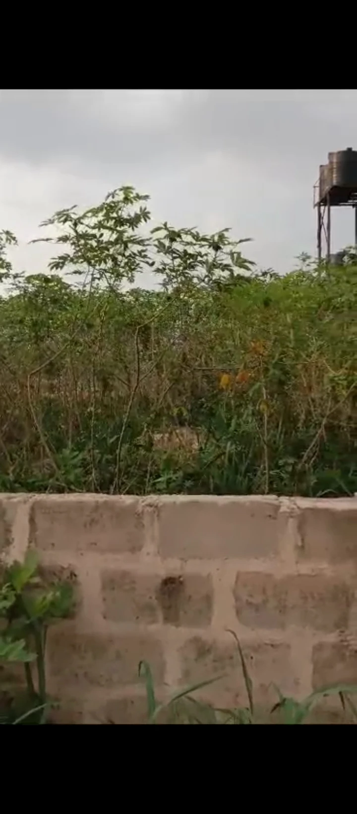 Land for Sale in Abuja street Amagba, Edo - Image 3