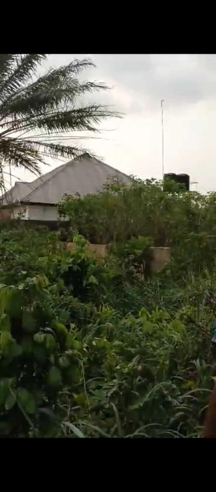 Land for Sale in Abuja street Amagba, Edo - Image 2