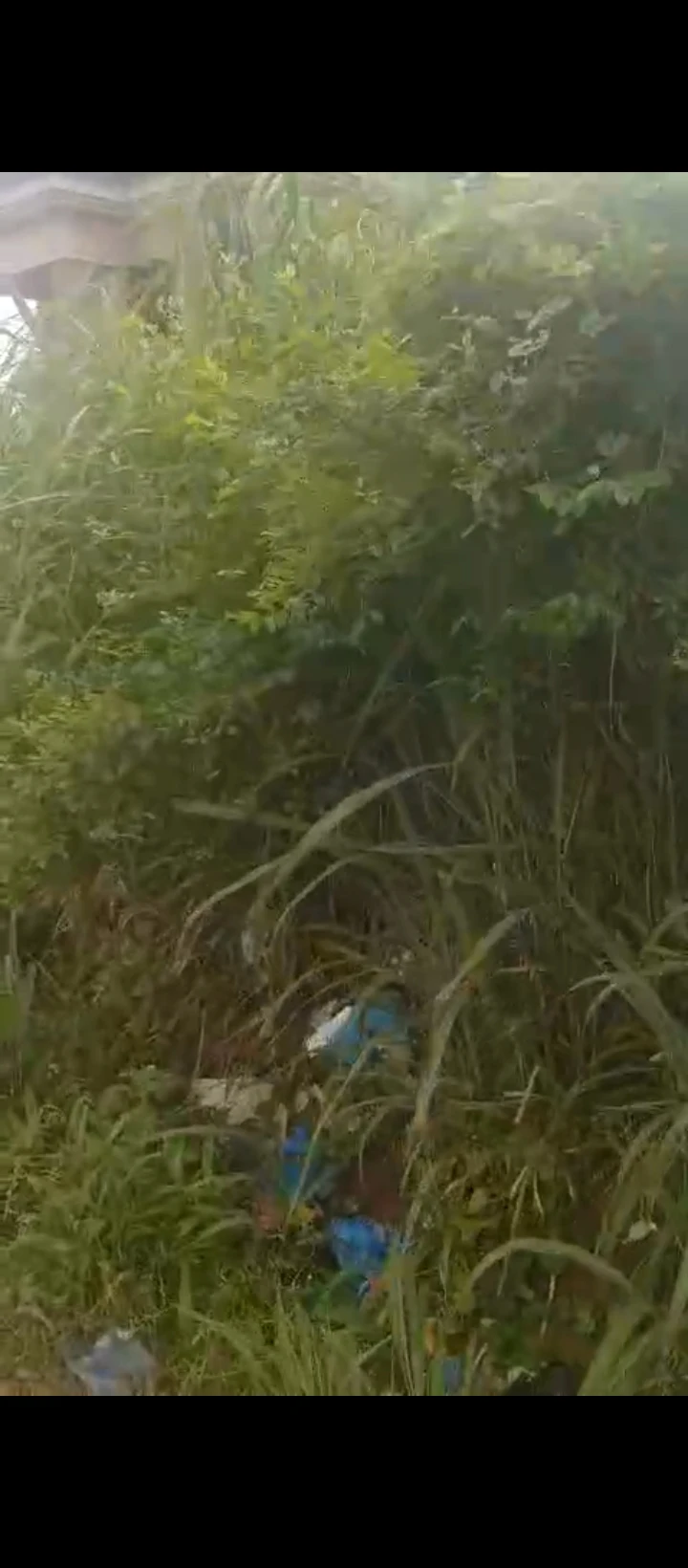 Land for Sale in Arougba airport road, Edo - Image 5