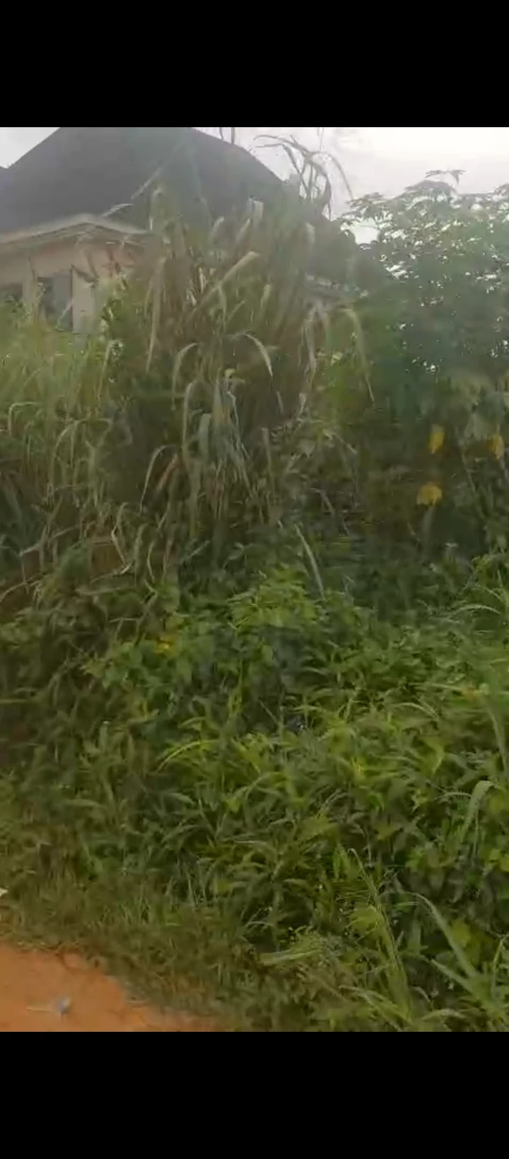 Land for Sale in Arougba airport road, Edo - Image 6