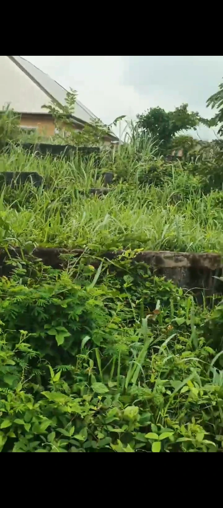 Uncompleted Building for Sale in Ogheghe sapele road, Edo - Image 4