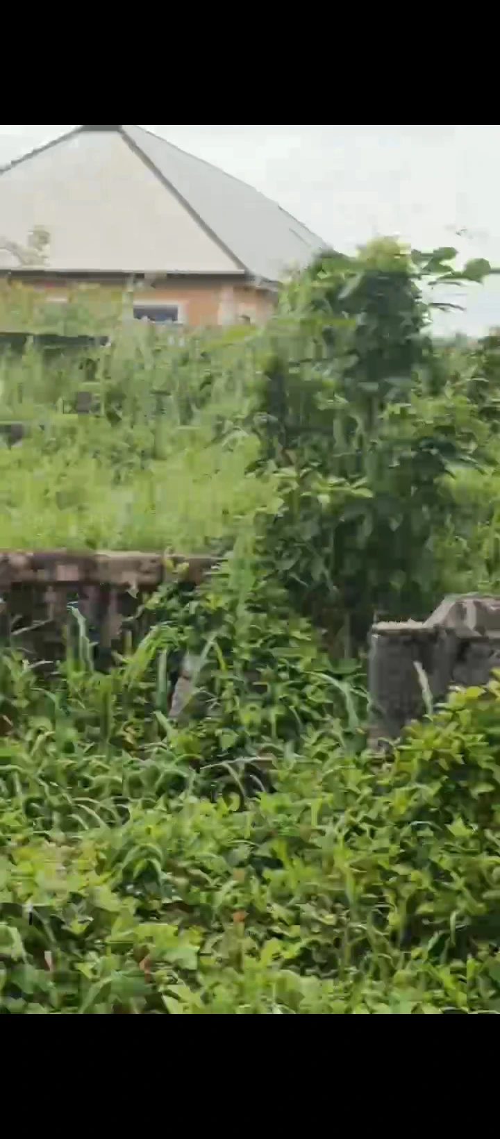 Uncompleted Building for Sale in Ogheghe sapele road, Edo - Image 1